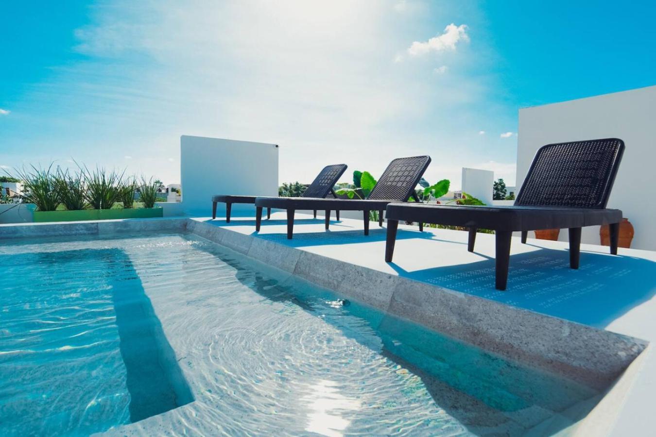 Work And Relax Apto With Cowork Space And Rooftop Tulum